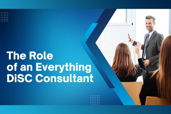 the role of an everything disc consultant