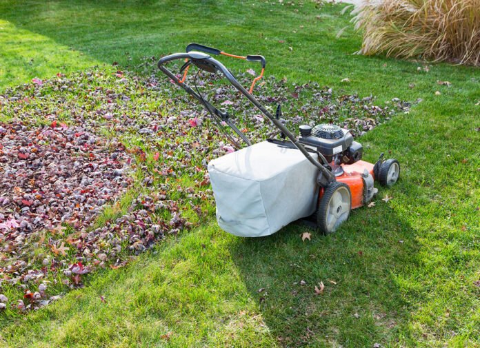 importance of lawn care