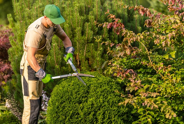 what types of services do landscapers provide ?
