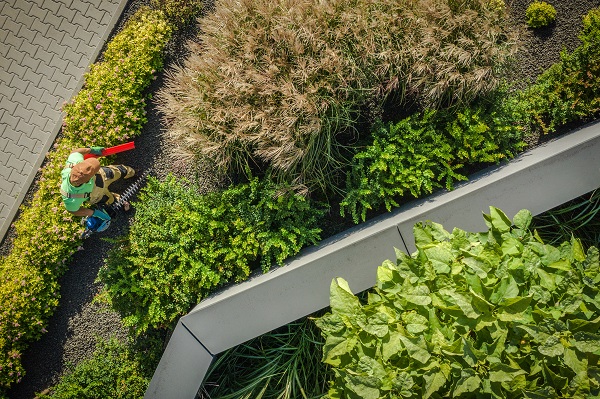 3 tips for choosing the best landscaping services