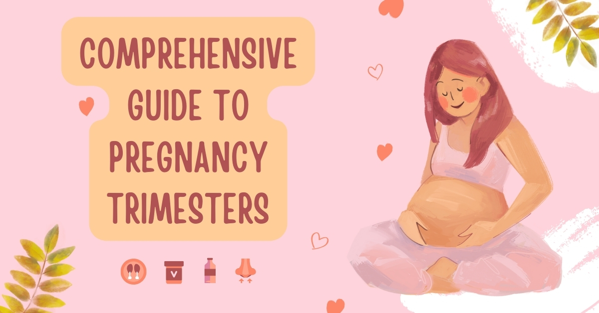 comprehensive guide to pregnancy trimesters
