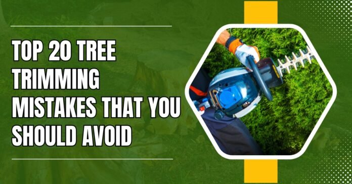 Top 20 Tree Trimming Mistakes That You Should Avoid