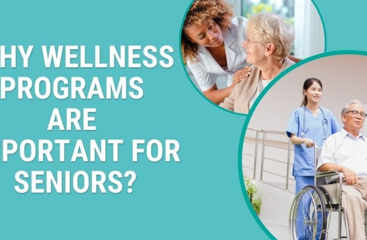 Why Wellness Programs Are Important for Seniors?