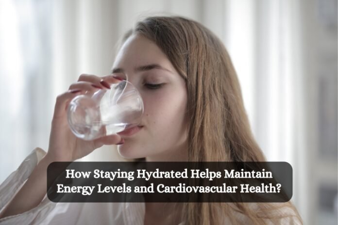 How Staying Hydrated Helps Maintain Energy Levels and Cardiovascular Health