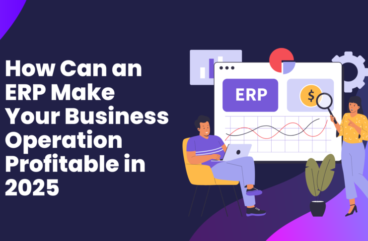 How Can an ERP Make Your Business Operation Profitable in 2025